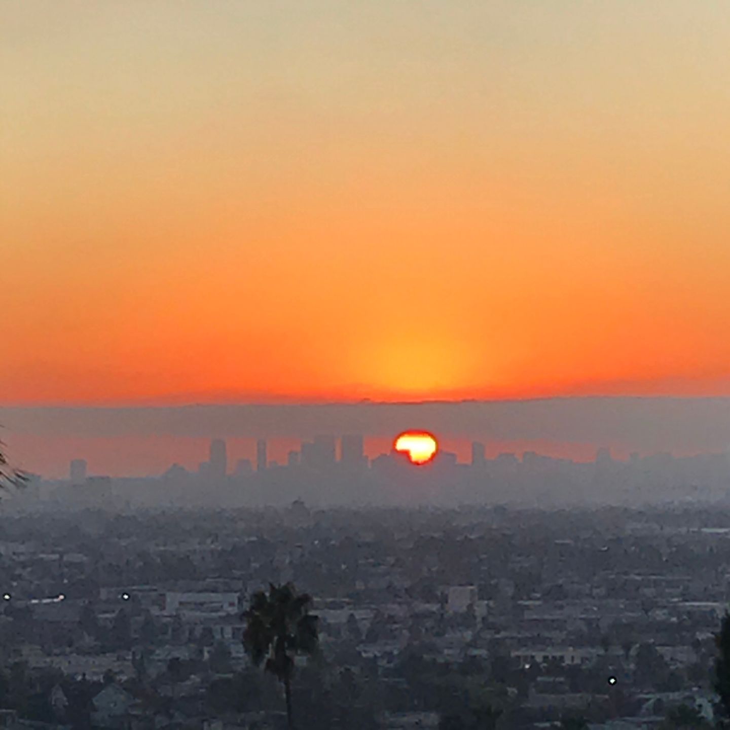 Sunday Sunset